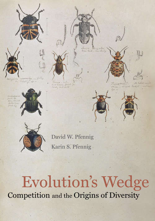 Evolution's Wedge