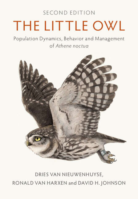 Book cover of The Little Owl: Conservation, Ecology And Behavior Of Athene Noctua