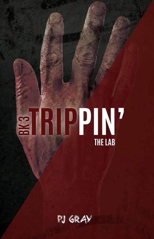 Book cover of The Lab (Trippin' #3)