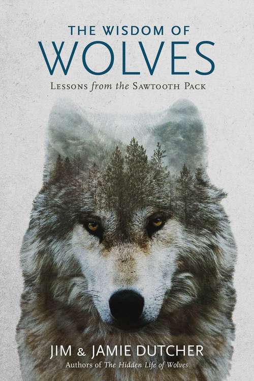 Book cover of The Wisdom of Wolves: Lessons From the Sawtooth Pack