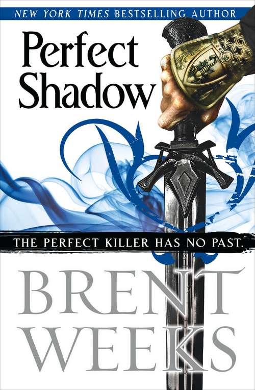 Book cover of Perfect Shadow