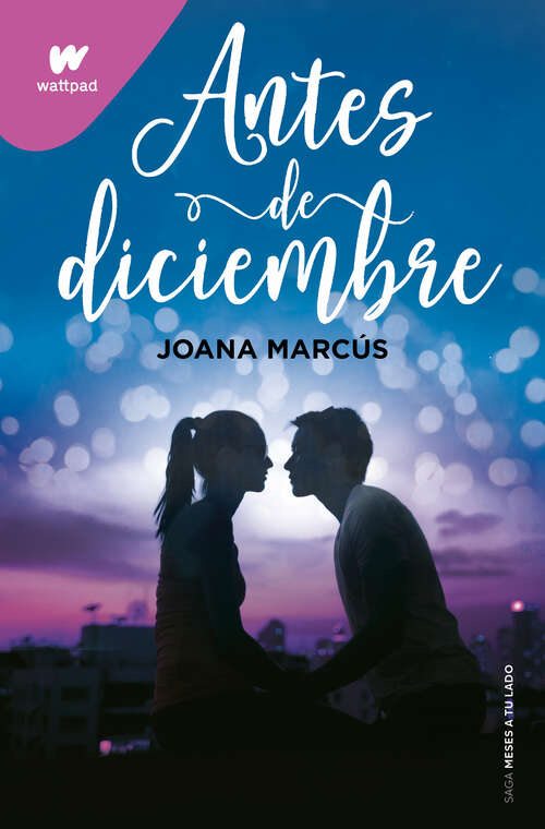 Book cover of Antes de diciembre (Meses a tu lado: Volumen 1)