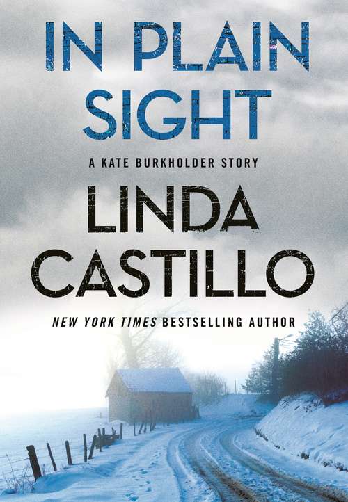 Book cover of In Plain Sight: A Kate Burkholder Short Mystery (Kate Burkholder)