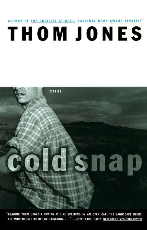 Book cover of Cold Snap: Stories