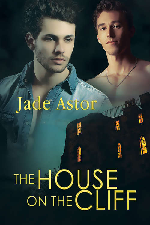 Book cover of The House on the Cliff