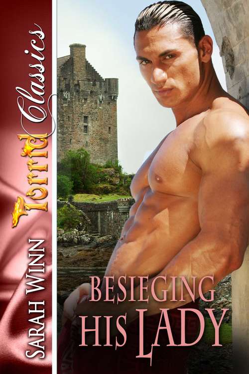 Book cover of Besieging His Lady
