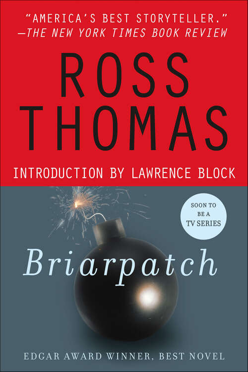 Book cover of Briarpatch: A Novel