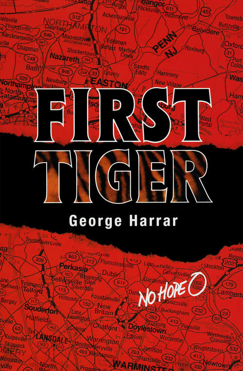 Book cover of First Tiger