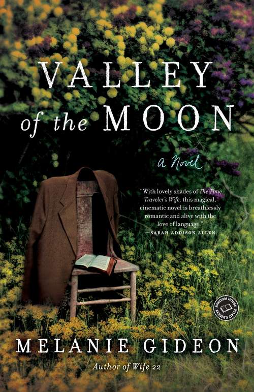 Book cover of Valley of the Moon: A Novel