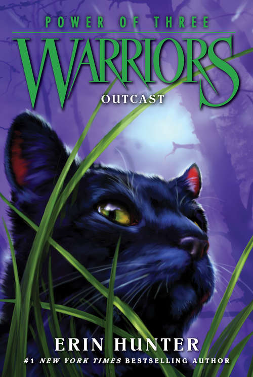 Book cover of Outcast (Warriors: Power of Three #3)