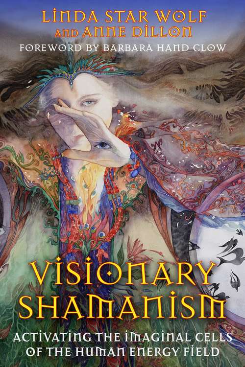Visionary Shamanism: Activating the Imaginal Cells of the Human Energy Field