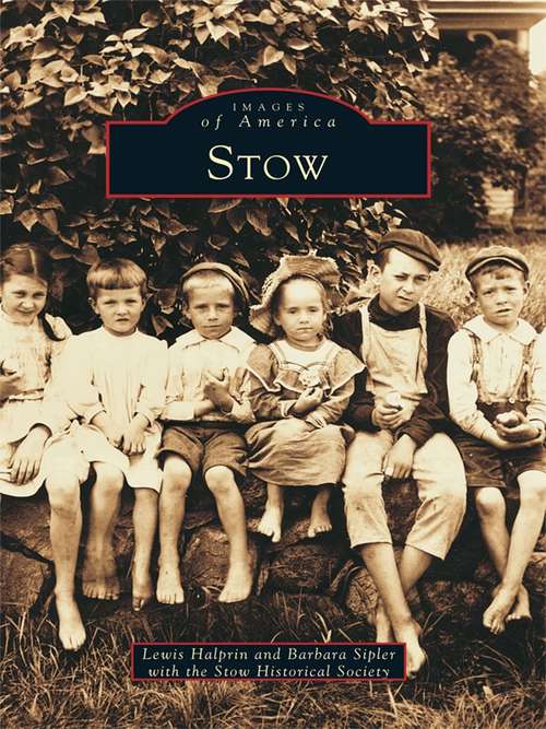 Book cover of Stow