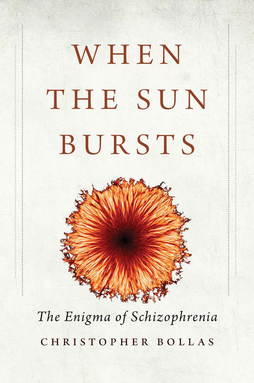 Book cover of When the Sun Bursts