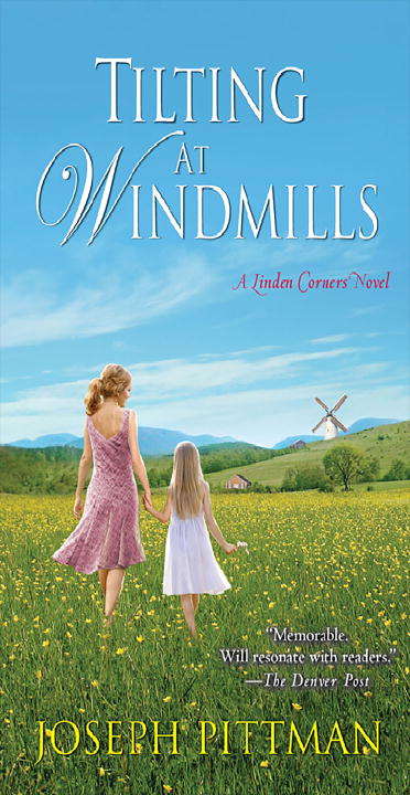 Book cover of Tilting at Windmills