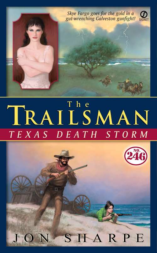 Book cover of Texas Death Storm (The Trailsman #246)