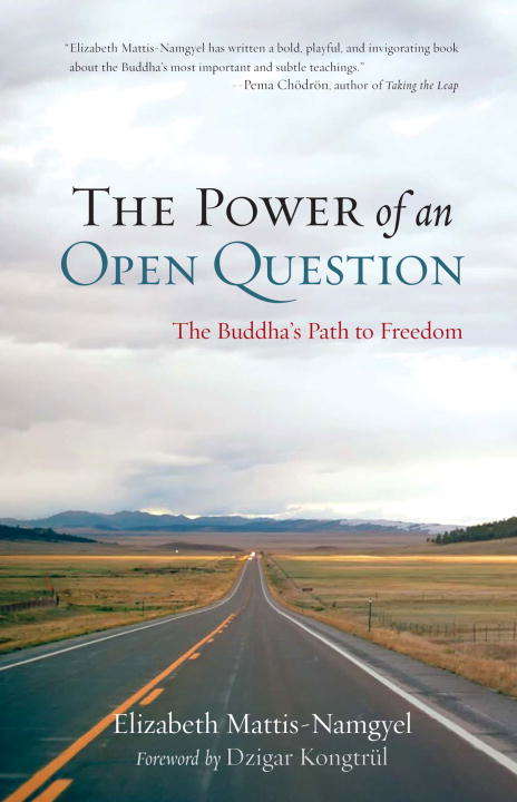 Book cover of The Power of an Open Question: The Buddha's Path to Freedom