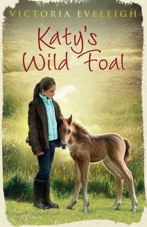 Book cover of Katy's Wild Foal: Book 1 (Katy's Exmoor Ponies #1)