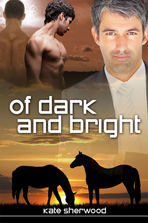 Book cover of Of Dark and Bright
