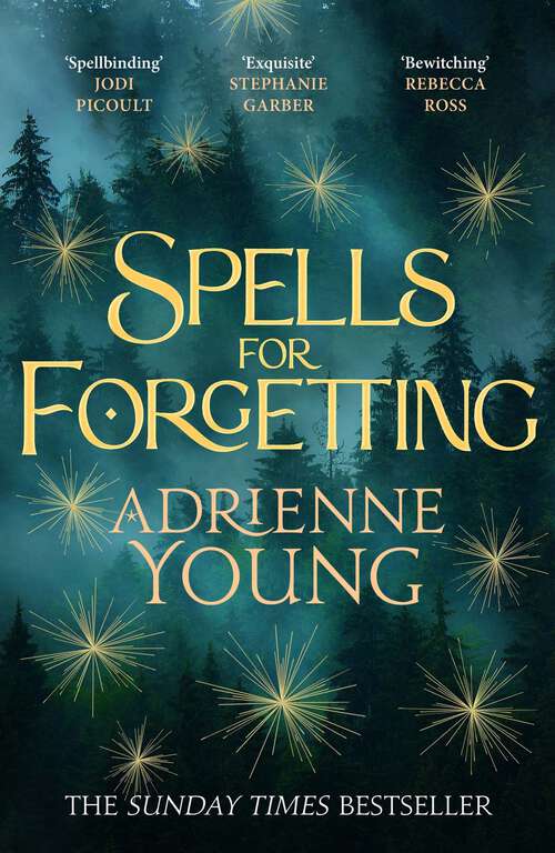 Book cover of Spells for Forgetting: the spellbinding magical mystery, perfect for winter nights