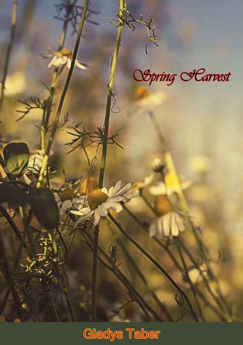Book cover of Spring Harvest