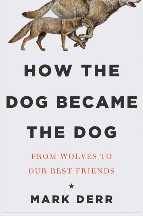 Book cover of How the Dog Became the Dog: From Wolves to Our Best Friends