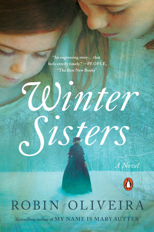 Book cover of Winter Sisters