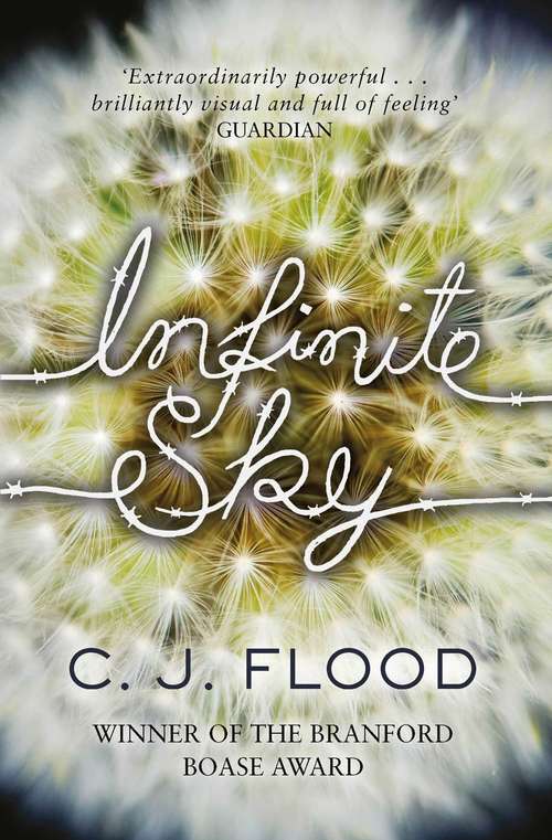 Book cover of Infinite Sky