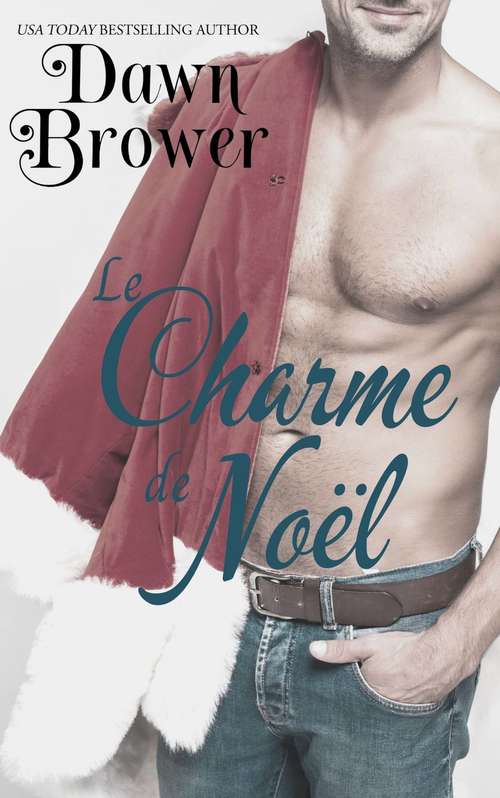 Book cover of Le charme de Noël