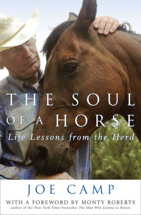 Book cover of The Soul of a Horse