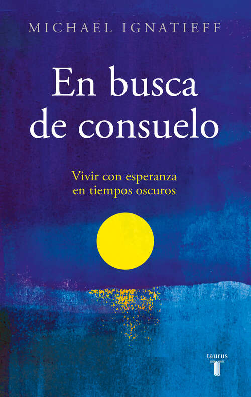 Book cover of En busca de consuelo: Vivir con esperanza en tiempos oscuros