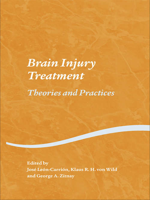 Brain Injury Treatment: Theories and Practices (Studies on Neuropsychology, Neurology and Cognition)