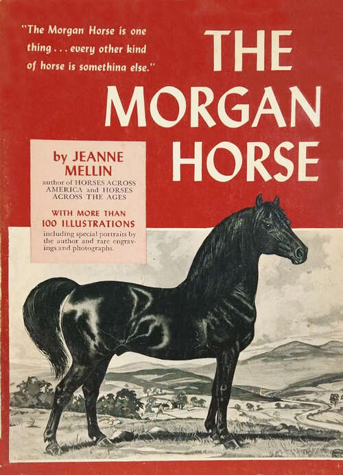 Book cover of The Morgan Horse