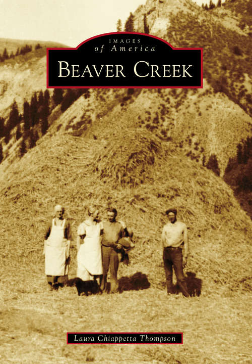 Book cover of Beaver Creek