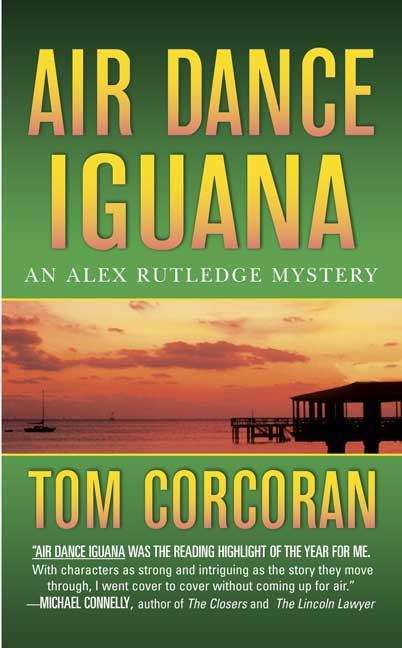 Book cover of Air Dance Iguana