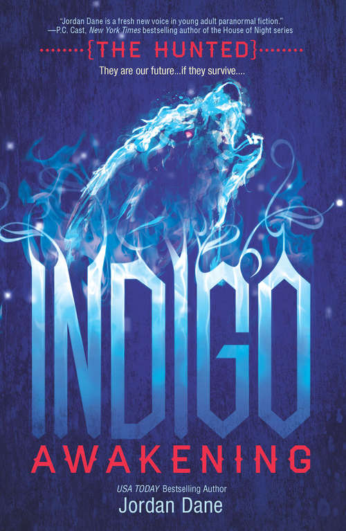 Book cover of Indigo Awakening
