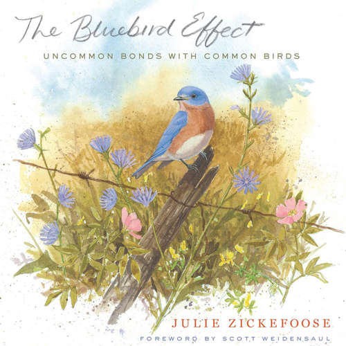 Book cover of The Bluebird Effect