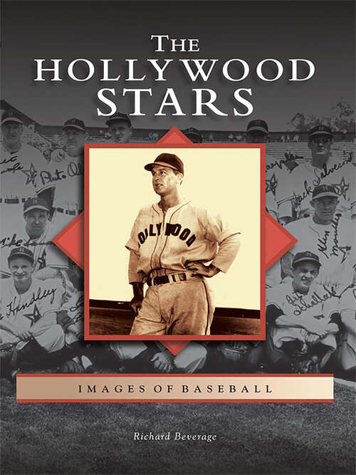 Book cover of Hollywood Stars, The