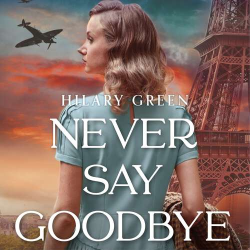 Book cover of Never Say Goodbye