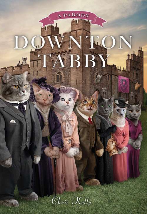Book cover of Downton Tabby
