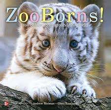 Book cover of ZooBorns!: Zoo Babies From Around The World (Elementary Core Reading)
