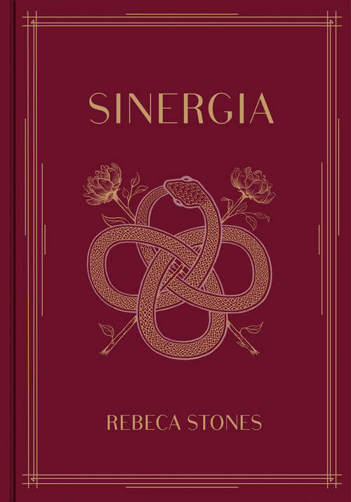 Book cover of Sinergia