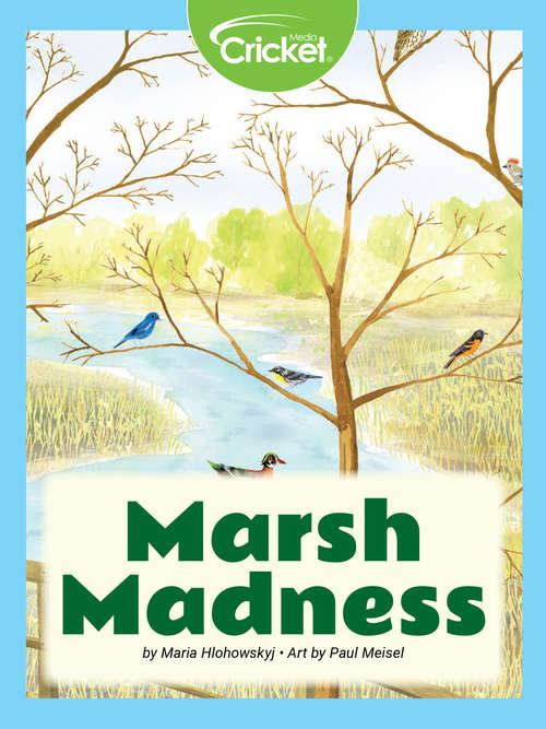 Book cover of Marsh Madness