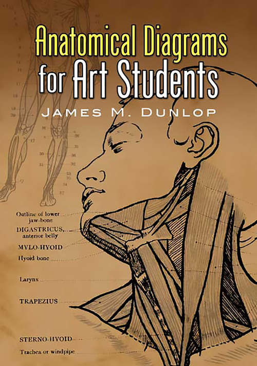 Book cover of Anatomical Diagrams for Art Students