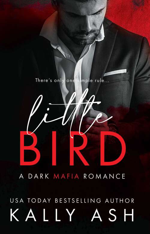 Book cover of Little Bird (Dirty Deeds #1)