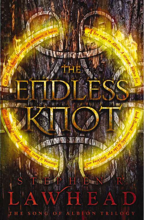Book cover of The Endless Knot