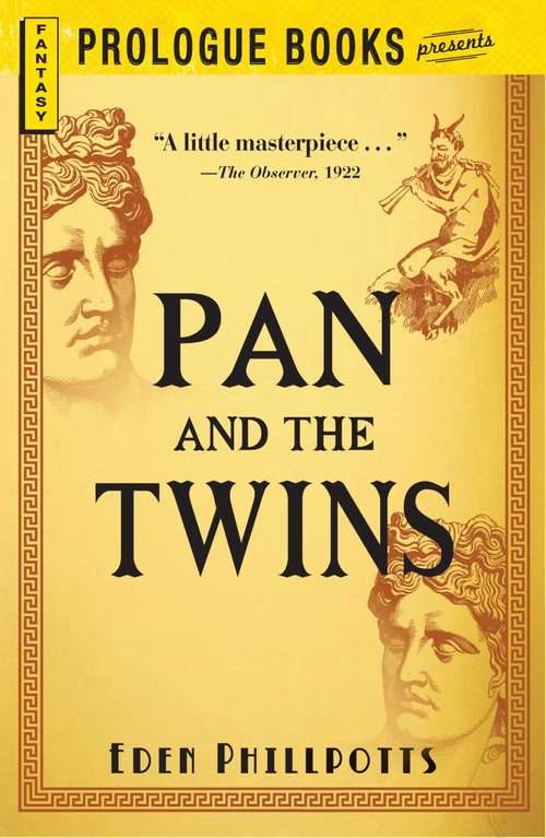 Book cover of Pan and the Twins