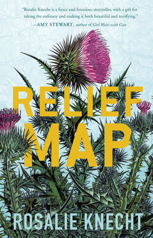 Book cover of Relief Map