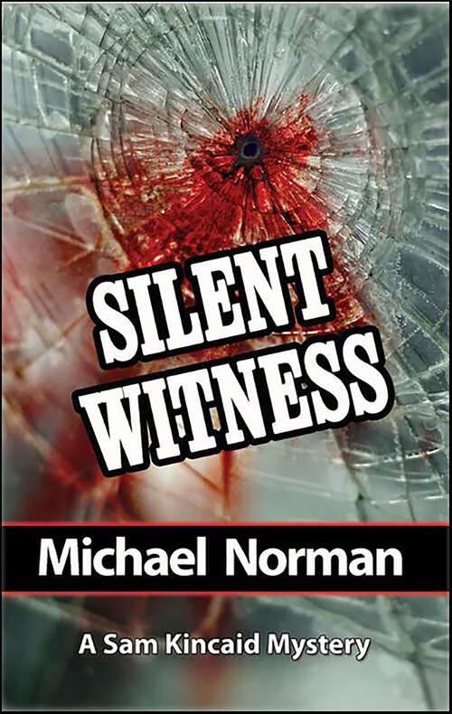 Book cover of Silent Witness