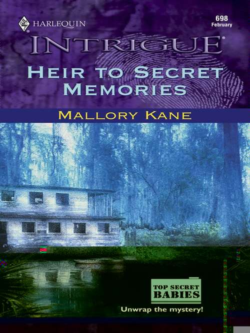 Book cover of Heir to Secret Memories