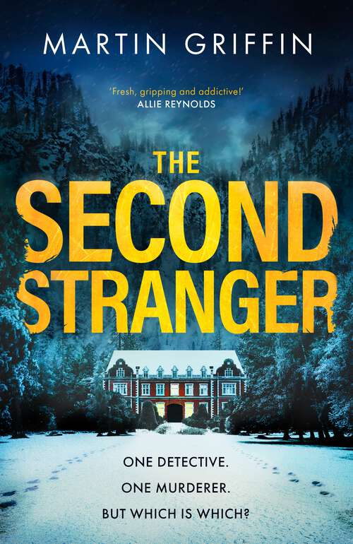 Book cover of The Second Stranger: One detective. One murderer. But which is which?